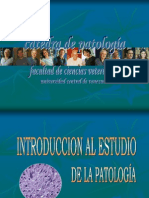 1a Clase Introducción A La AnatomíaPatológica FCV-UCV Carolina Rodríguez-Cariño