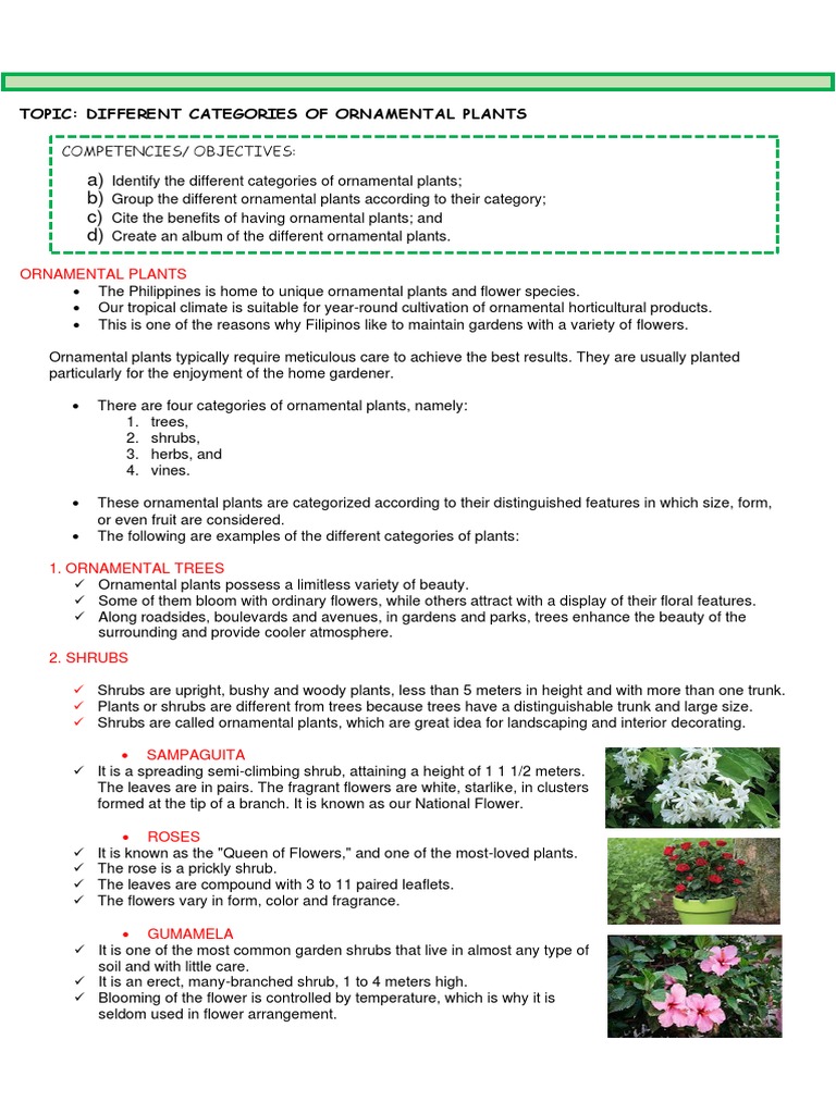 Categories of Ornamental Plants | PDF | Trees | Plants