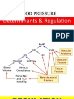 Short and Long Term Regulation and Determinants of BP