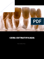 Cera Estratificada PDF