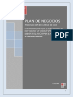 557 Plan de Gocio