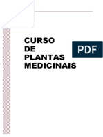 plantas-medicinais-e-fitoterapicos