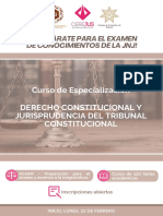CEREJUS Curso de Especializacion Derecho Constitucional