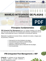 Diapos de Mip Unidas 600 Pag