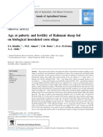 Age at Puberty and Fertility of Rahmani Sheep Fed On Biological Inoculated Corn Silage (2013) Khalifa y Col