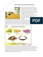 Beras Analog PDF