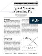 Feeding and Managing The Weanling Pig: Coo Per Ati Ve Ex Tension Service