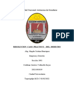 Caso Ramas Del Derecho Cristhian Vallecillo