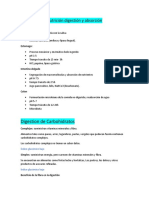 Proceso digestión y absorción nutrientes