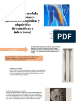 Concepto de Medula Espinal, Lesiones Medulares Congénitas