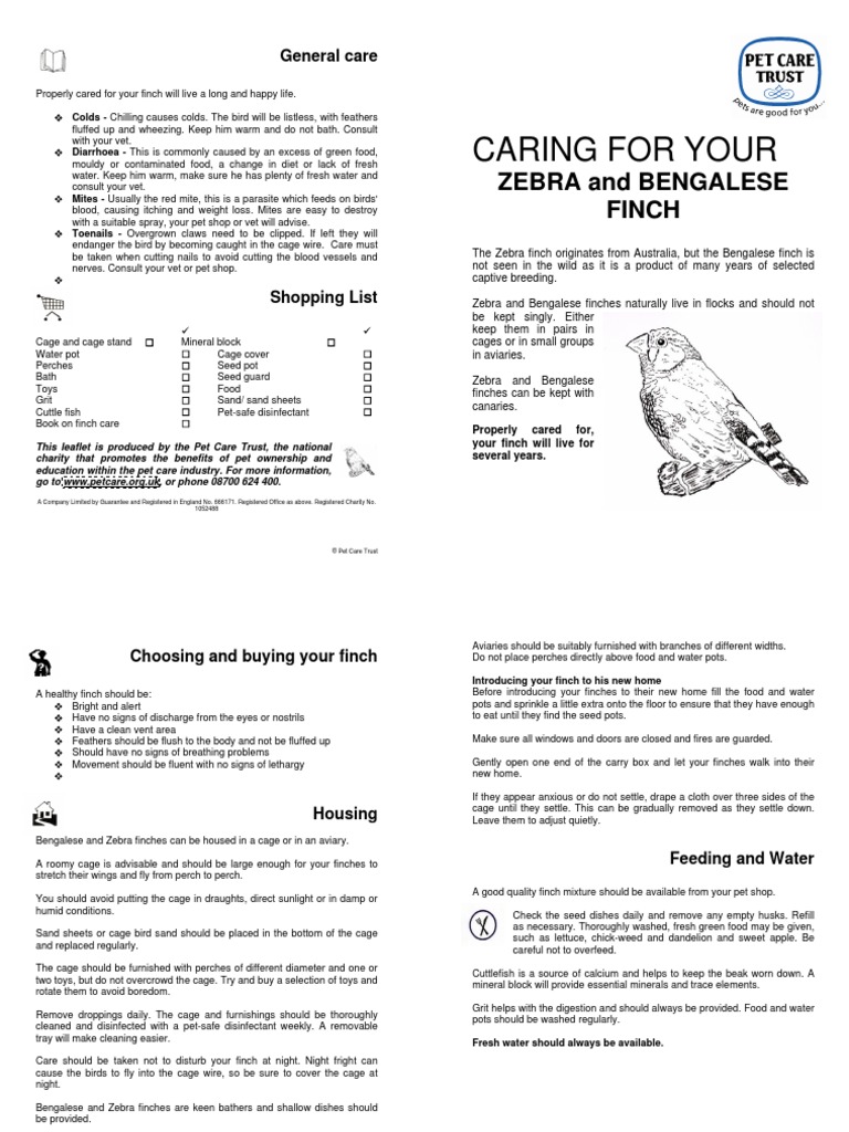 Finch Care Sheet PDF Birds Foods