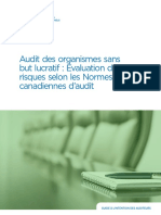 Audit Des Organismes Sans but Lucratif Evaluation Des Risques Selon Les Normes Canadiennes Daudit R2 00047