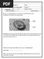 Q1-Fig. 2.1 Is A Photograph of A Cross-Section of A Vascular Bundle in A Leaf