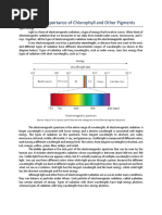 Topic 2: The Importance of Chlorophyll and Other Pigments: Light Energy