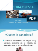 Ganaderia y Pesca