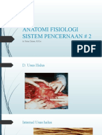 Anatomi Fisiologi Pencernaan