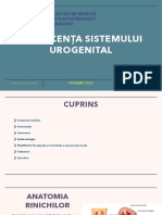 Senescența sistemului urogenital