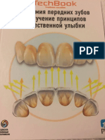 Анатомия Передних Зубов и Изучение218303890217502044
