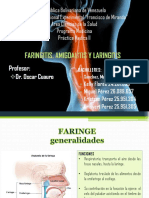 FASE II PRÁCTICA MÉDICA AMIGDALITIS