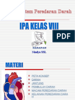 Sistem Peredaran Darah Kelas 8