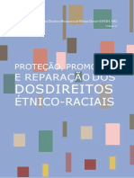 Livro 12_Direitos Etno-Raciais.smdocx(1)