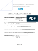 Agenda Formării Profesionale: Stagiul de Practică: Practica Ce Anticipează Probele de Absolvire