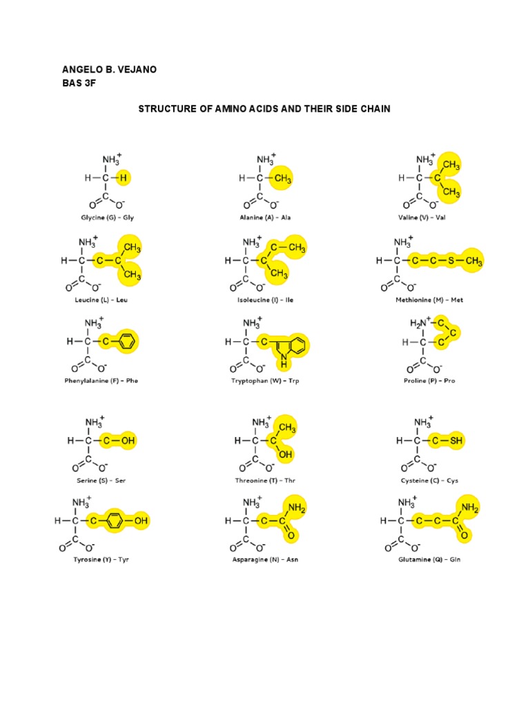 Amino Acids: Structure and Side Chains | PDF