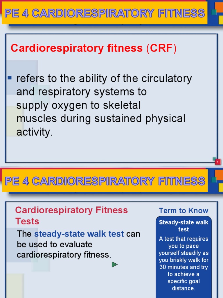 Cardiorespiratory Fitness Activities Guide | PDF | Aerobic Exercise ...