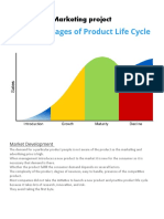 Different Stages of Product Life Cycle: Marketing Project
