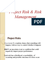 Project Risk & Risk Management