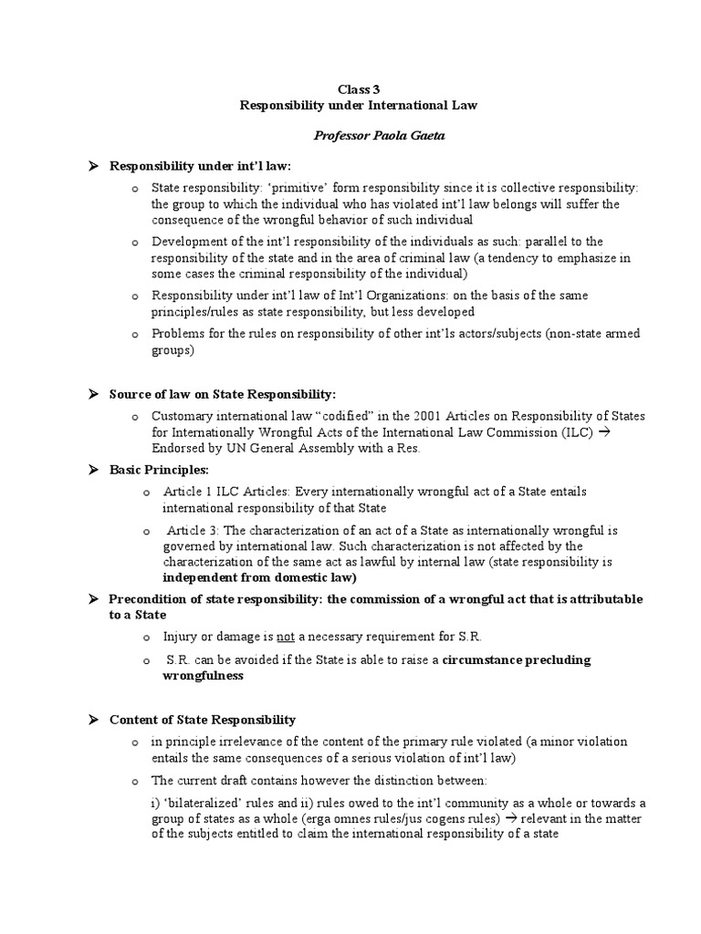 State Responsibility in International Law | PDF | International Law ...