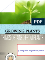 Growing Plants