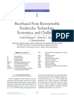 Bioethanol From Biorenewable Feedstocks: Technology, Economics, and Challenges