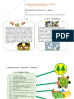 Plantilla Tarea N. 8 Infografía Economía Popular y Solidaria