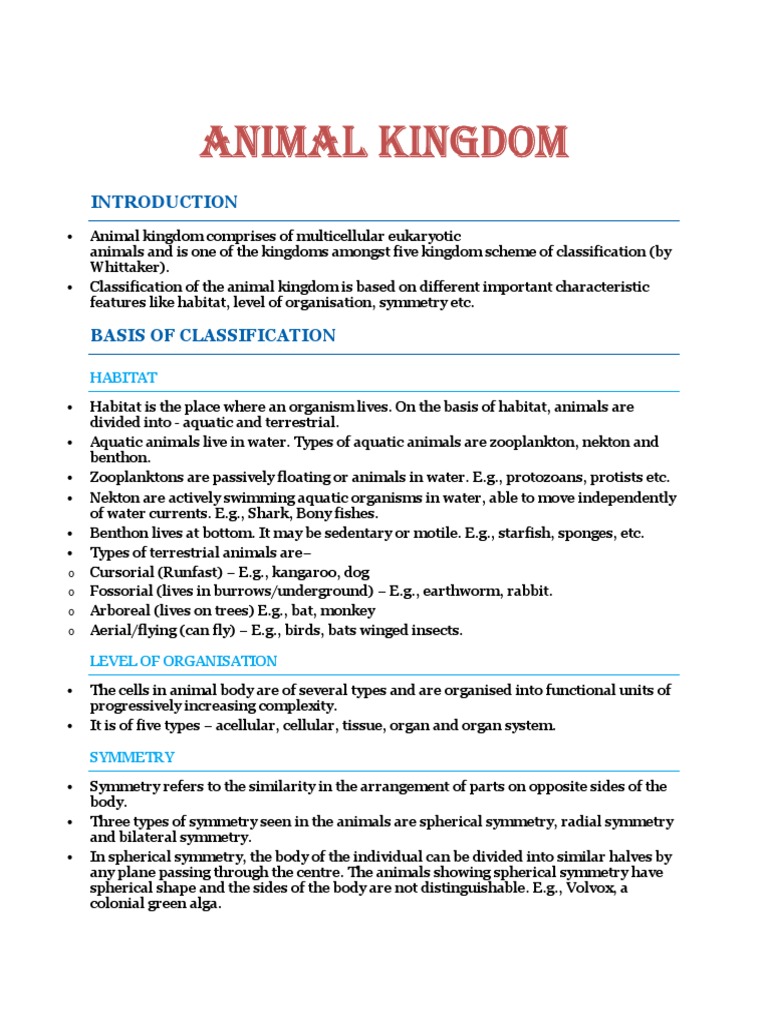 Animal Kingdom | Download Free PDF | Sponge | Mollusca