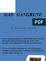 Gas Gangrene: Dr. Ehsanur Reza Shovan