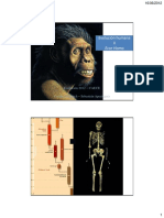 Evolucion Humana Homo Total - 2