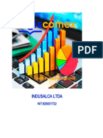 Indusalca Ltda: Análisis y Reportes Financieros