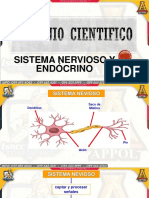 Sistema Nervioso y Endocrino