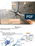 Idegszövet: P.-Fejszák Nóra