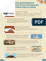 Infografia Mecanismos Constitucionales de Protección Maria