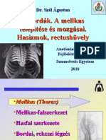 Mellkas Magyar Szél 2018