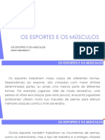 2°ano - Os Esportes e Os Músculos