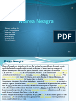 Proiect Marea Neagra