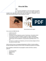 Virus Del Zika: Características Generales