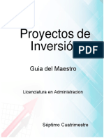 Guia Maestro Proyectos de Inversion