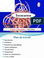 Toxocarose