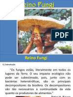 Reino Fungi - 7 ano -  fund. 2