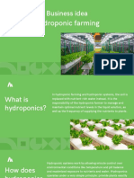Hydroponic Farming: Business Idea