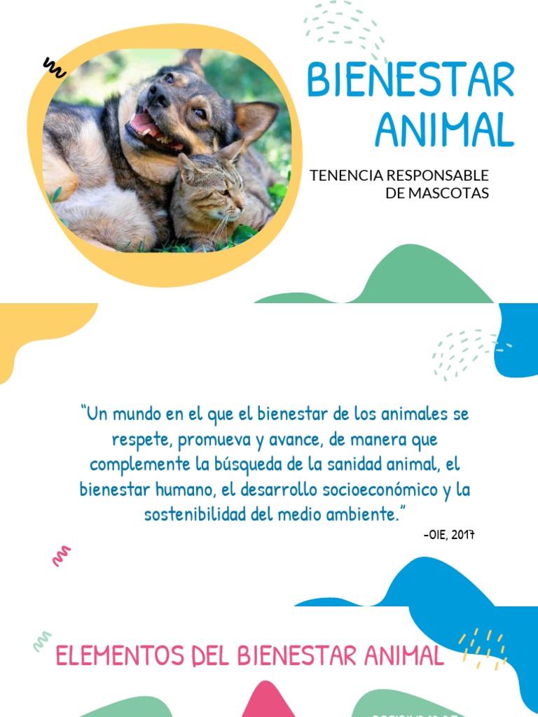 Bienestar y Tenencia Animal | PDF | Mascota | Bienestar de los animales